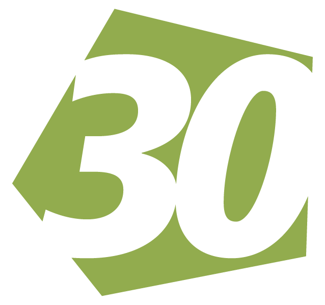 30-icon